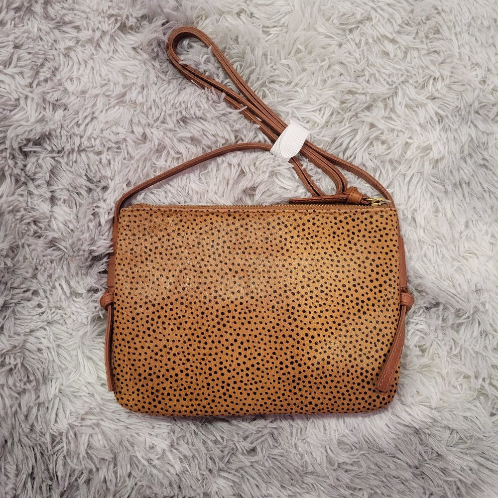 Madewell, Brown with Black Polkadot